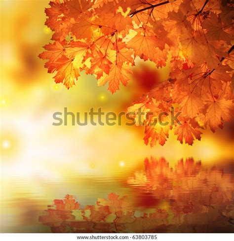 Abstract Maple Reflection Stock Photo Edit Now 63803785