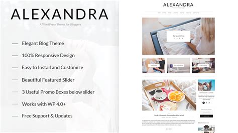 Alexandra Multi Concept Blog Wordpress Theme Themes