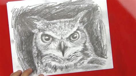 Speed Drawing Of An Owl - Art For Kids Hub