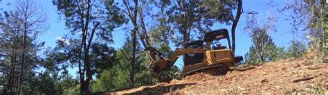 Land Clearing And Mulching Arborcare Queensland