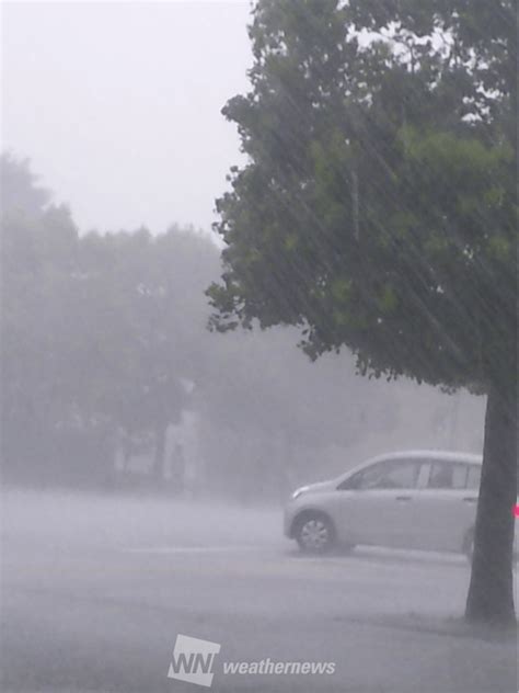 Mitchie m (music, lyrics)tsukasa ryugu (illust)tosao (video). 20ミリの雨、50ミリの雨、100ミリの雨…それってどんな雨 ...