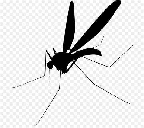 Mosquito Insect Clip Art Mosquito Cliparts Png Download 24002400
