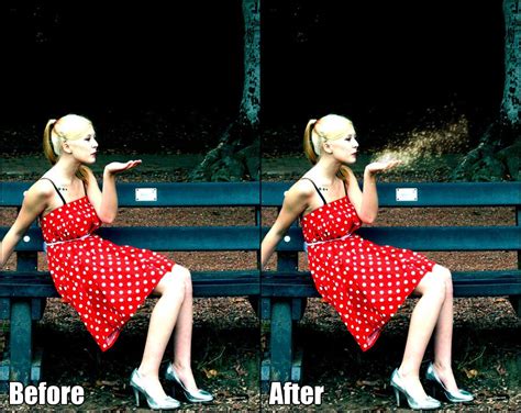 Dust Glitter Photoshop Overlay Scrapbooking Photography Edit Etsy
