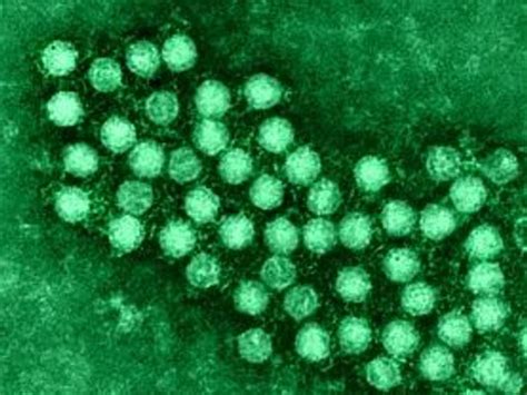 Enterovirus D68 Confirmed In Nc Children