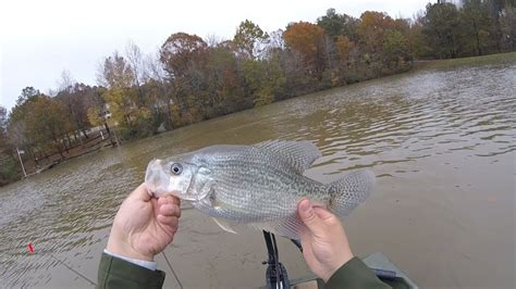 Huge Slab Crappie Winter Crappie Fishing Personal Best On This Lake