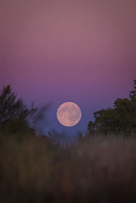 Harvest Moon Coming Home From A Golden Hour Photo Sh Flickr