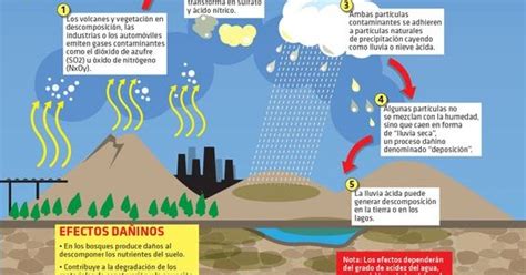 Geo Bolitxeros Infograf A Lluvia Cida