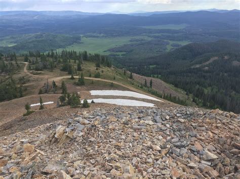 Elk Hunting in Colorado's GMU 5 - Moffat and Routt Counties - HuntScore