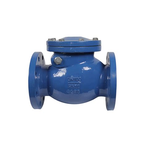 China High Reputation 4 Grooved Check Valve Mss Sp 71 Cast Iron Swing