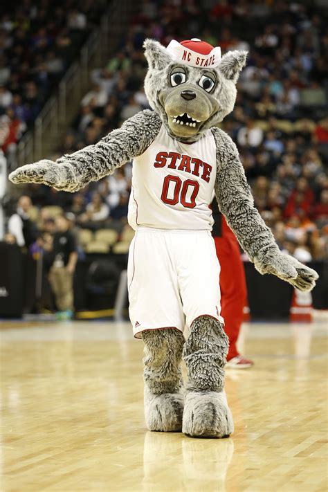 The Time Nc States Wolf Mascots Got Married By The Wake Forest Demon