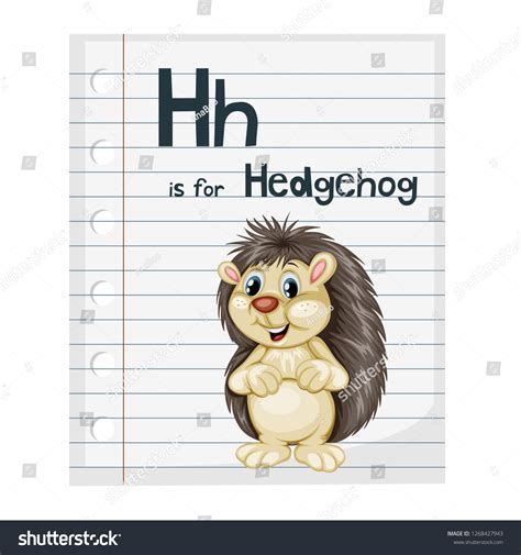 Illustrated Vocabulary Card Letter H Hedgehog Stock Vector Royalty