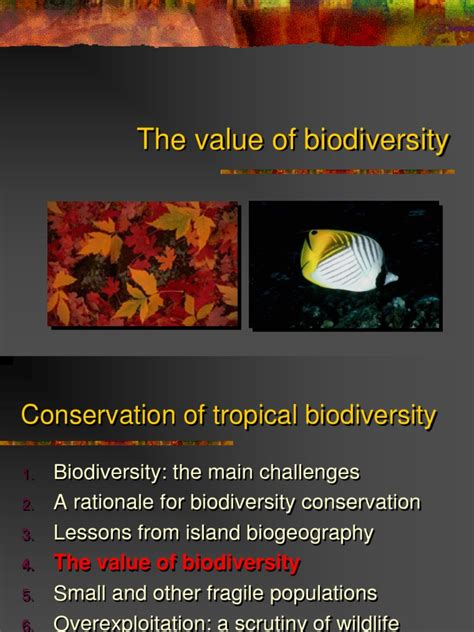The Value Of Biodiversityppt Biodiversity Conservation Biology