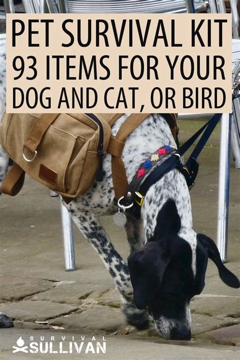 Pet Survival Kit 93 Items For Your Dog Cat Or Bird Survival