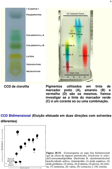 Cromatografia De Camada Delgada