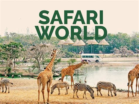 Safari World The Wild Side Of Bangkok