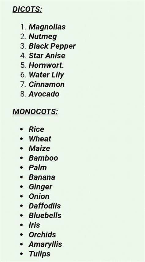 These examples reflect their shared ancestry. give me 10 examples of monocot and dicot leaves each ...