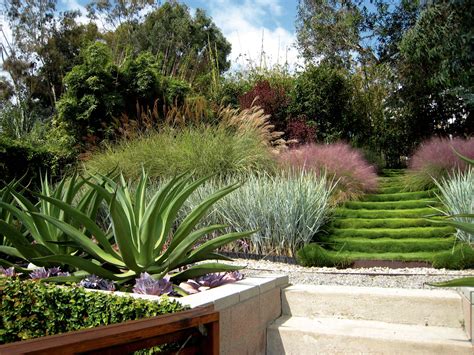 Architect Visit A Hazy Landscape Of Grasses In Santa Monica Above