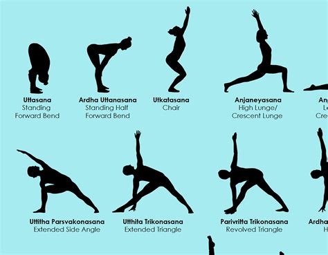 68 Vector Yoga Poses Each With Its English And Sanskrit Names Etsy