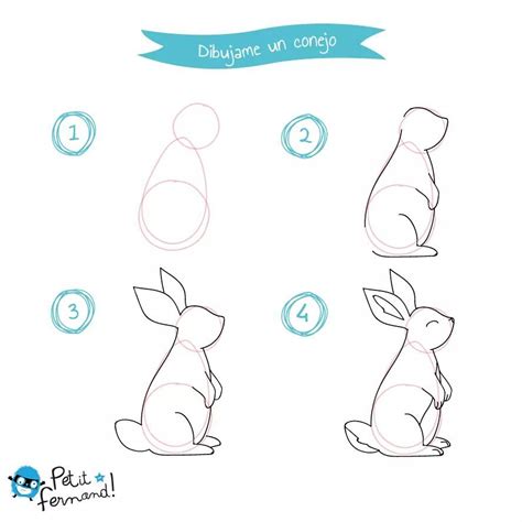 Como Dibujar Un Conejo Realista Paso A Paso