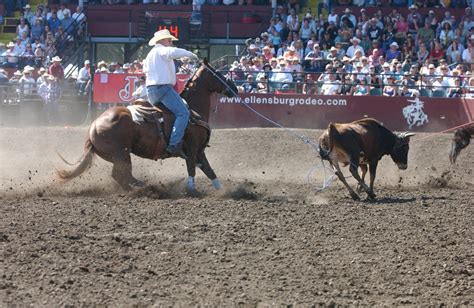 Some of the topics they cover in this book are: The Roping Blog: Jake Barnes & Walt Woodard