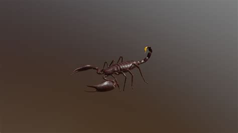Scorpion Download Free 3d Model By Anthonyvanoo 4c0fd62 Sketchfab