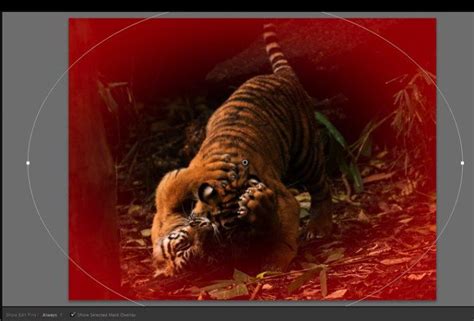Lightroom 5 introduced the radial filter, and there were some small enhancements made to it in lightroom 6/cc. Lightroom's Secret Weapon: The Radial Filter and How to ...