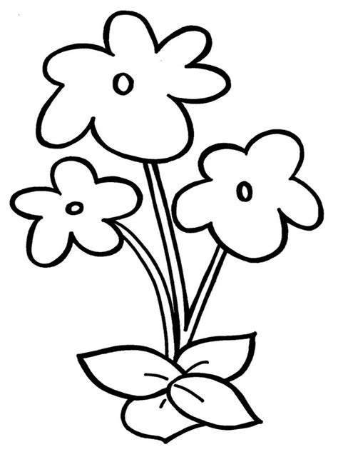 Types Of Flowers Drawing Simple Flowers Art Ideaspagesdev