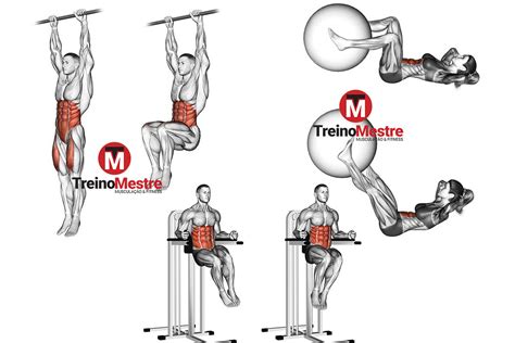 5 Melhores Exercícios Para Abdômen Inferior Ficha De Treino