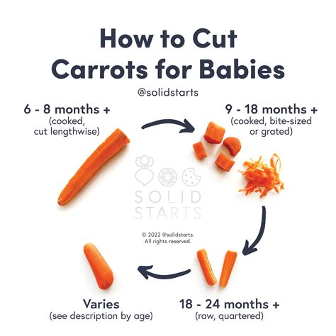 Carrots For Babies When Can Babies Eat Carrots Solid Starts
