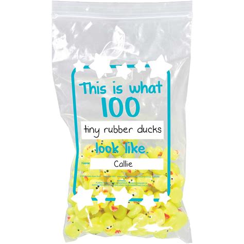 What Does 100 Look Like Banner And Plastic Bags Kit