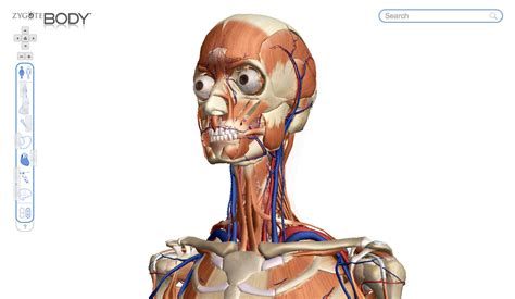 Futurix Zygote Body Il Corpo Umano In 3d