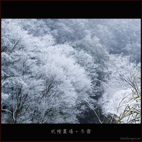 The site owner hides the web page description. 【思源啞口】冬景。雪的顏色 The Color Of Snow