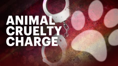 Ex Nypd Officer Charged With 19 Counts Of Animal Cruelty In Goshen