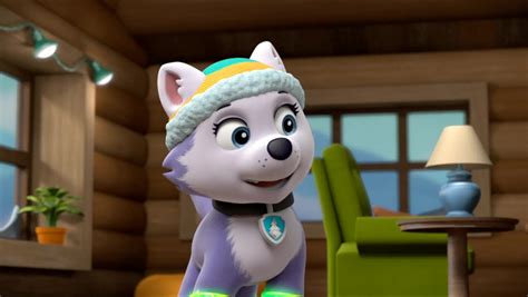 Everest Paw Patrol Photo 40716966 Fanpop