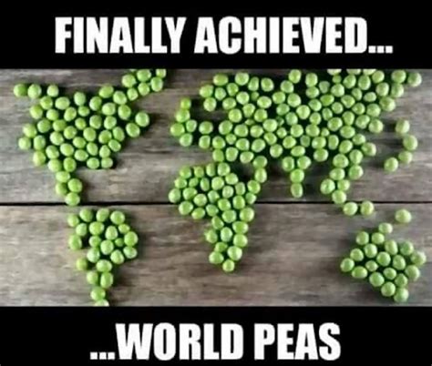 World Peas Funny Puns Funny Puns Hilarious Puns