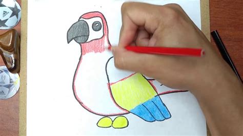 Cómo Dibujar Y Pintar Al Loro De Adopt Me Robloxhow To Draw Parrot