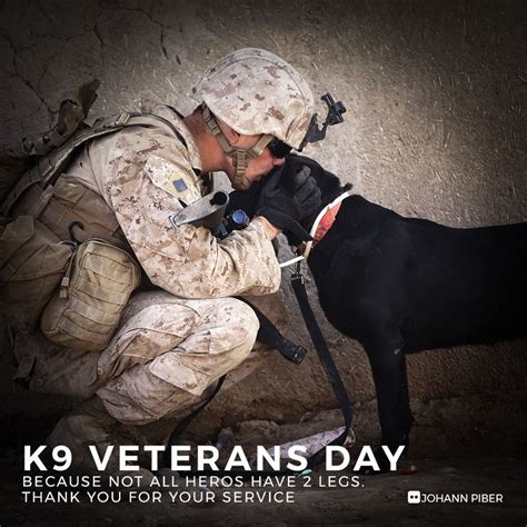 K9 Veterans Day Because Not All Heros Have 2 Legs Thank You For Your