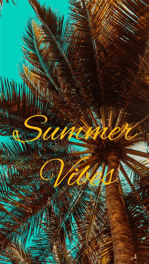 Download Wallpaper 800x1420 Summer Vibes Palm Mood