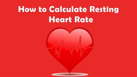 Calculating Resting Heart Rate Ppt