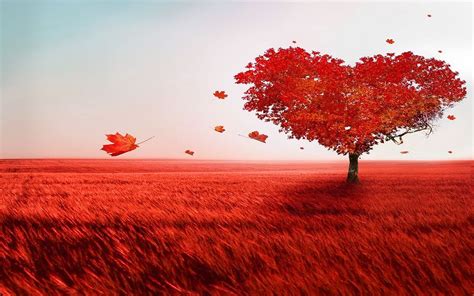 Je vous aime one love. Agape Love vs. Erotic Love