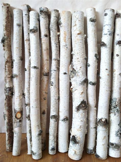 20 White Birch Logs Etsy Birch Tree Decor Birch Logs Birch Craft