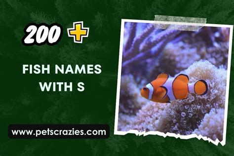 200 Fish Names With S Mysteries Of The Deep