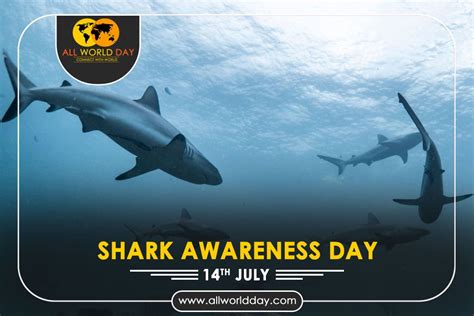 Shark Awareness Day 2023 Theme History Quotes Celebration