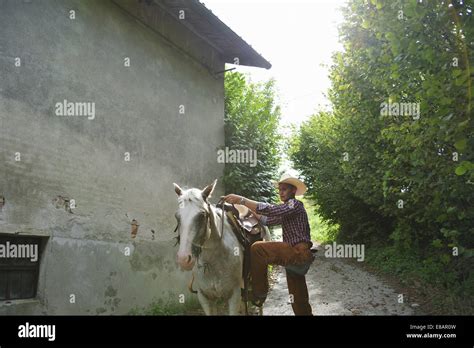 Mounting Horse Hi Res Stock Photography And Images Alamy