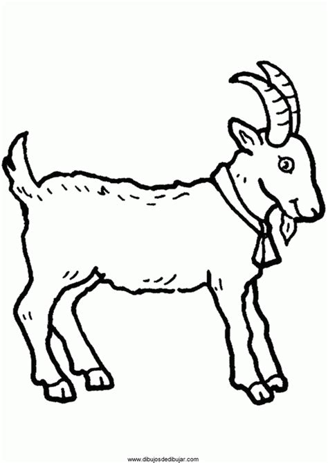 Todos los dibujos y coloreables que encontrarás aquí son dibujos para imprimir gratis. dibujos de cabras para colorear Archives - Dibujos de ...