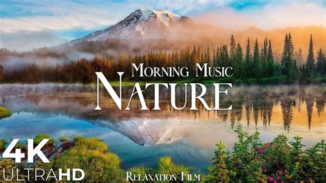 Morning Relaxing Music Nature Relaxation Film 4k Peaceful Relaxing Music Video Ultrahd