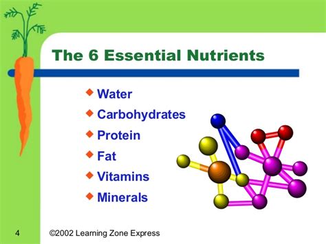 Micronutrients are nutrients that a person needs in small doses. Nutrient Basics