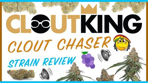 Clout Chaser Strain Review Clout King Youtube