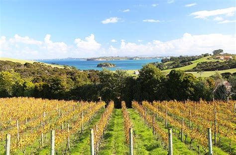 7 Of The Best Wineries In And Around Auckland Urban List Nz Winery
