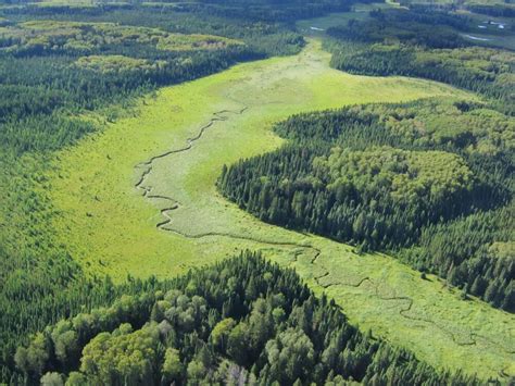 Duc And Lp Sign Landmark Conservation Agreement—du Canada
